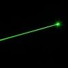 300mW 532nm Click Style Green Laser Pointer with Battery Black