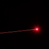 200MW 650nm feixe vermelho Laser Pointer preto (1 * 800mAh)
