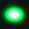 50mW 532nm di alto potere della torcia elettrica Style puntatore laser verde