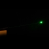 100mW 532nm Flashlight Style Green Laser Pointer