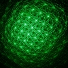Puntero láser verde caleidoscópico ajustable del estilo de la linterna de 200mW 532nm