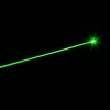 1000mW 532nm starken Grün-Laser-Zeiger