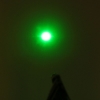 150mW 532nm Stift Stil grünen Laserpointer (enthalten zwei LR03 AAA 1,5 V Batterien)