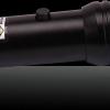 100mW 532nm Taschenlampe Stil 1010 Typ Grün-Laser-Zeiger-Feder mit 16340 Batterie