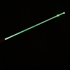 50mW 532nm 1010 Type Flashlight Style Green Laser Pointer Pen with 16340 Battery