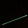 30mW 532nm 2009 Taschenlampe Stil grünen Laserpointer (mit einer Batterie 16340)
