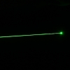 200mW 532nm Flashlight Style Ts-0019 Type Green Laser Pointer Pen with 18650 Battery