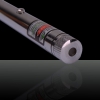 Argento 100mW 532nm cromo acciaio Caleidoscopico puntatore laser verde (con due batterie AAA)