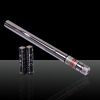 100mW 532nm Chromium Steel Kaleidoscopic Green Laser Pointer Silver (with two AAA batteries)