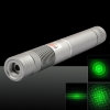300mW 532nm Penna puntatore laser portatile con messa a fuoco a luce verde con raggio luminoso LT-HJG0088