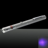 1mw 405nm Bleu et Purple Beam Lumière Starry Sky & Single point Argent stylo pointeur laser