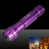 LT-501B 300mw 532nm Green Beam Light Dot Light Style Rechargeable Laser Pointer Pen with Charger Purple