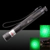 100mW 532nm grüne Lichtstrahl-Licht 6 Sternenhimmel Licht Styles Laserpointer mit Halter Schwarz