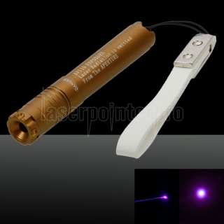 5mW Mini 3 Professional Purple Light Laser Pointer with Box & AAA Battery Golden