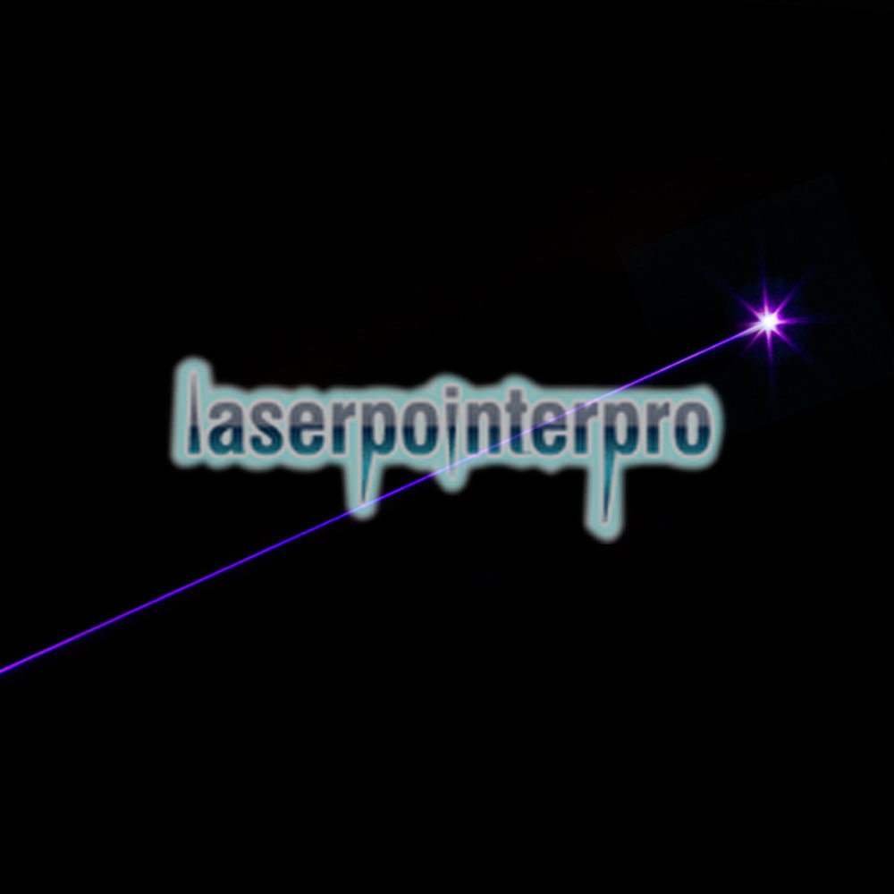 Torcia laser da 300mW 405nm Purple Beam Light Silver