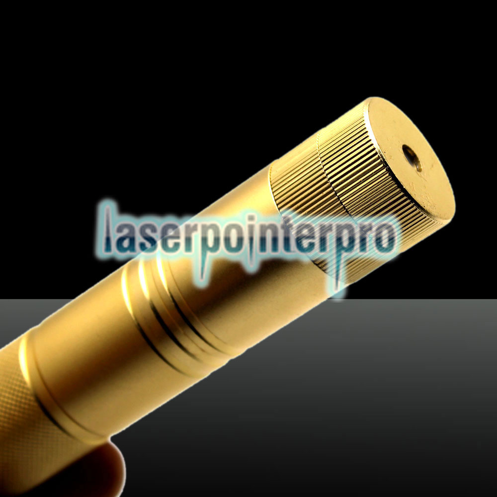 100mW 532nm grüner Lichtstrahl fokussierbarer Laserpointer-Kit Golden