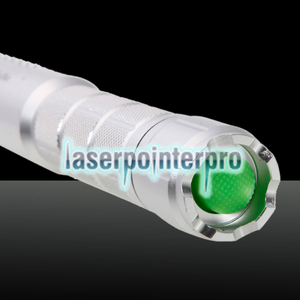 Tuta puntatore laser a luce verde con testa attaccata ad alta potenza da 2000 mW argento