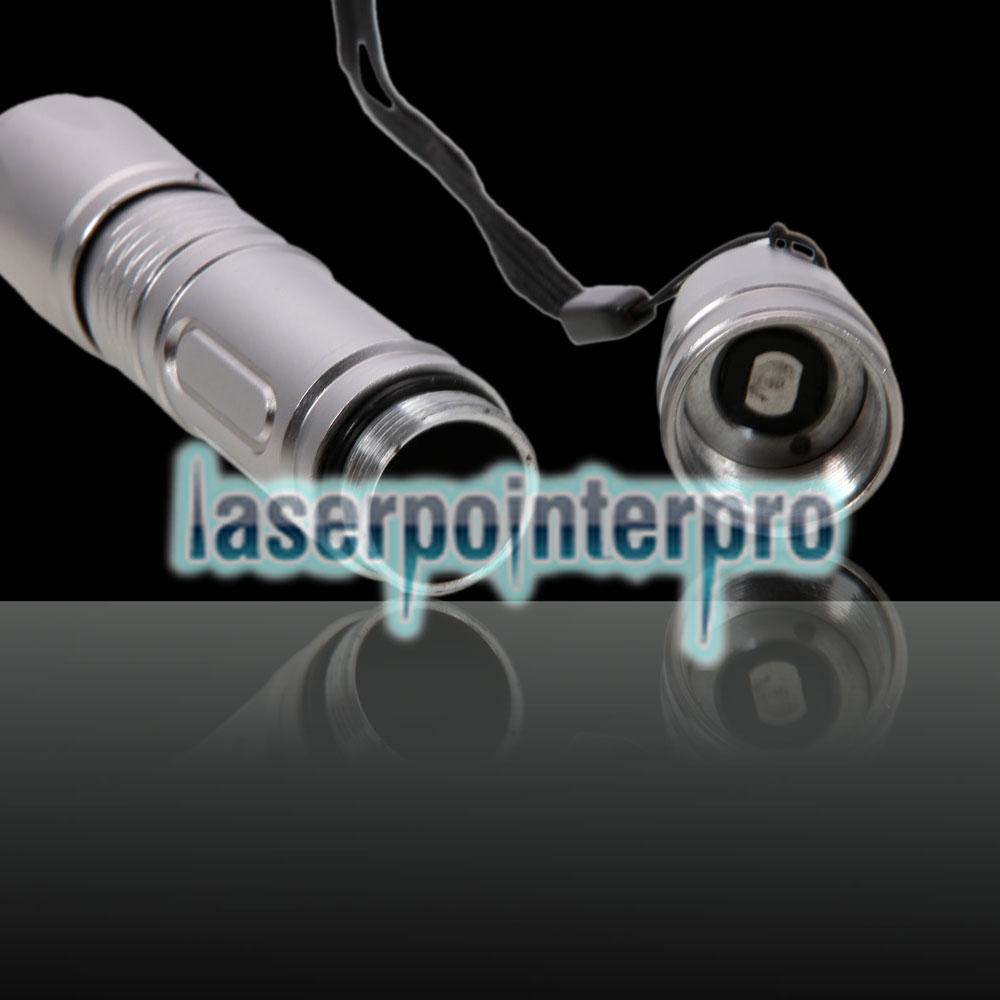 300mW Professioneller grüner Laserpointeranzug mit 16340 Akku und Ladegerät Silber