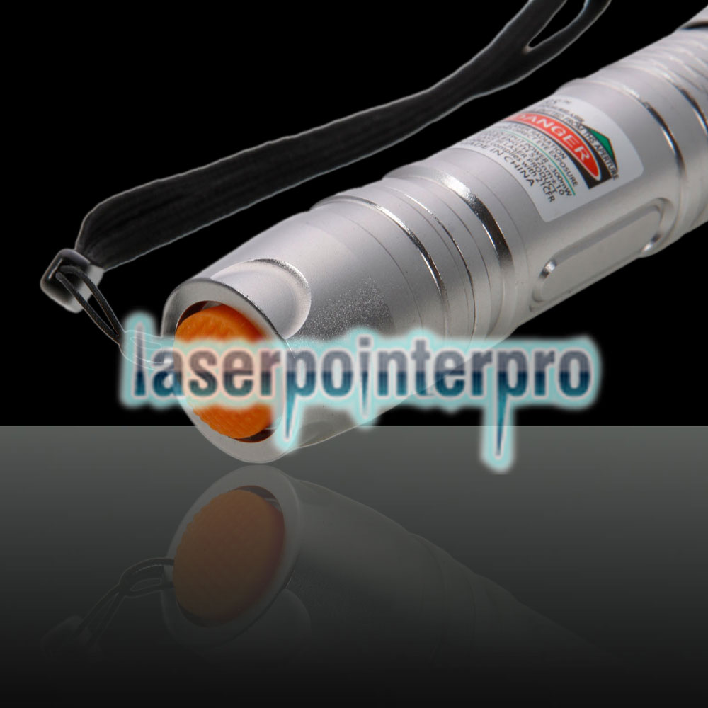 Combinaison de pointeur laser verte professionnelle 300mW avec batterie 16340 et chargeur argent
