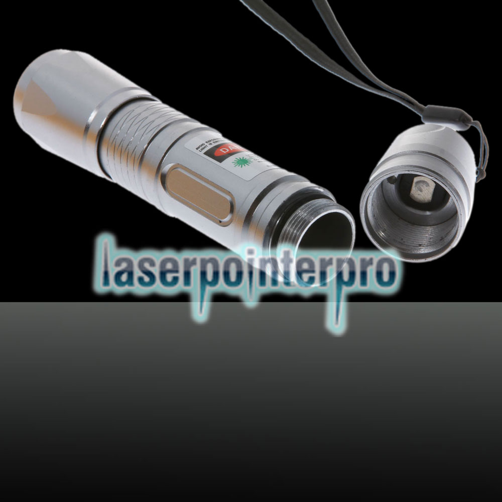 Penna puntatore laser a luce verde con circuito a puntino ACC 500mW Argento