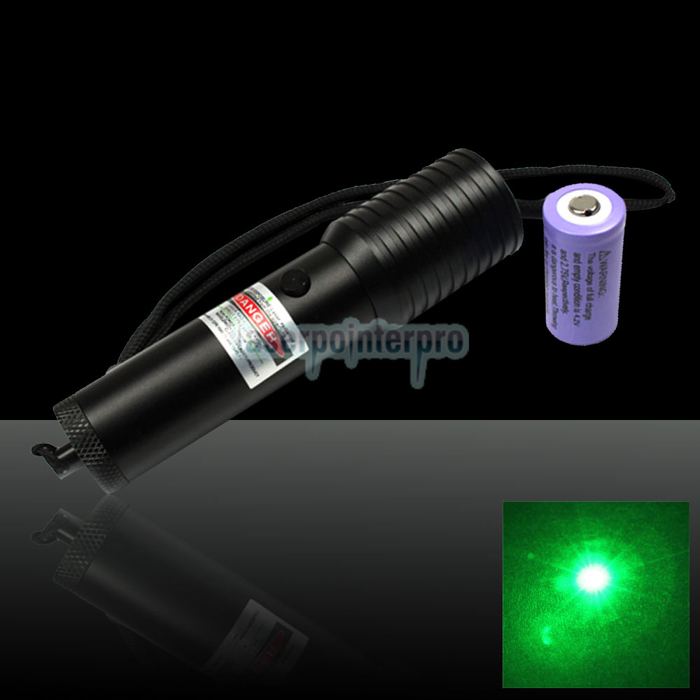 Pointeur laser vert de style lampe de poche 200mW 532nm (1010)