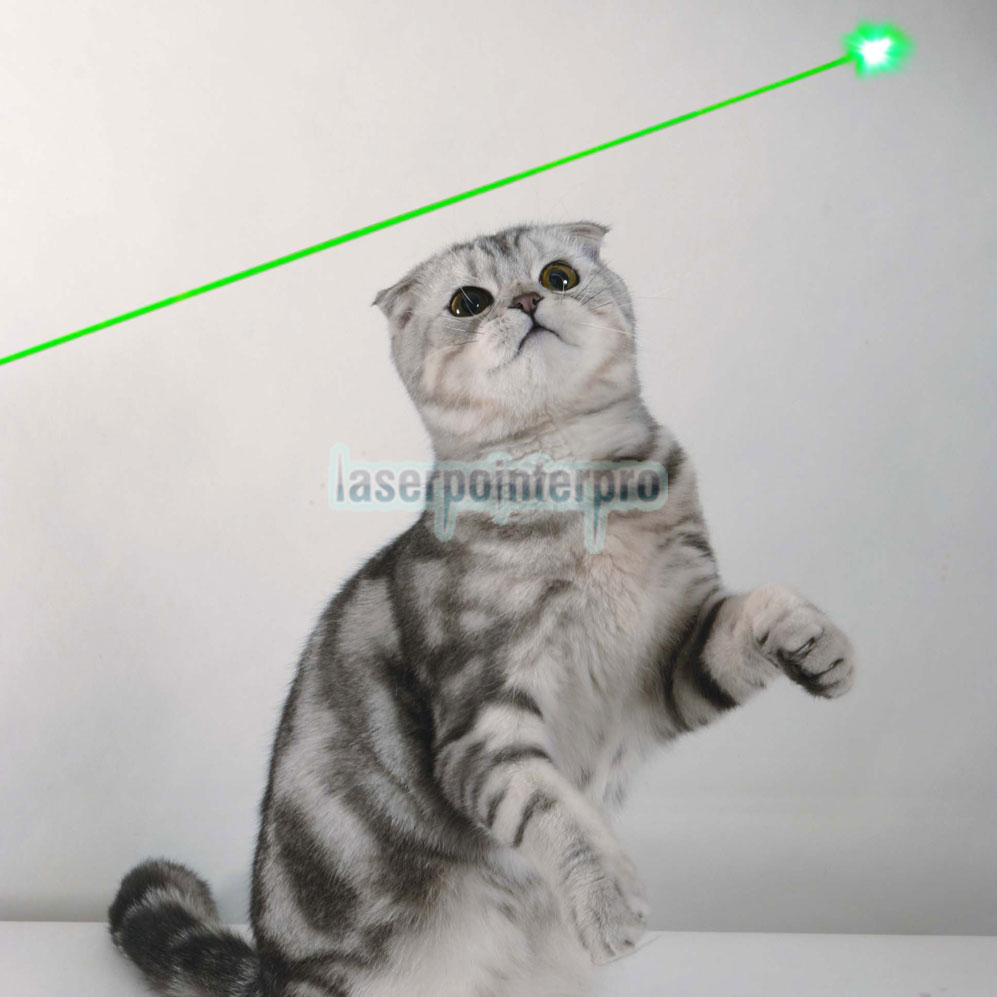 red & green laser point