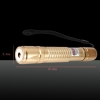 230mW 532nm Green Beam Light Laser Pointer Pen Golden 853
