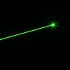 250mW grünes Lichtstrahl-Licht-flaches Kopf-Laser-Gewehr Sighter-Schwarzes