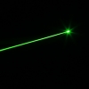 230mW 532nm grünes Lichtstrahl-Licht-Laserpointer-Silber