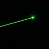230mW 532nm faisceau vert clair tête de lotus pistolet laser Sighter Set noir