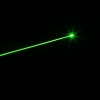 230mW 532nm grüne Lichtstrahl-Licht-Laser-Zeiger-Feder Schwarz 502B