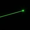 Rayo de luz verde 400mW separada en forma de loto cristalino de plata Cabeza lápiz puntero láser