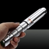 400mW Green Beam Light Separate Crystal Lotus-shaped Head Laser Pointer Pen Silver