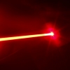 230mW 650nm orange Beam Licht Doppelseitige Laserpointer + US-Standard-Adapter Schwarz