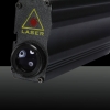 300mW 650nm orange Lichtstrahl-Licht Doppelseitige Laserpointer + US-Standard-Netzteil schwarz