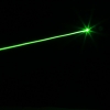 230mW 532nm grüne Lichtstrahl-Licht Doppelseitige Laserpointer einschließlich US-Standard-Adapter Schwarz
