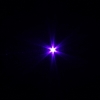 300mW 405nm Purple Beam Light Laser Torch Silver