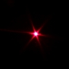 300mW Red feixe de luz padrão de verificação Laser Tocha de Prata