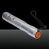 300mW Purple Beam Lumière Vérifier Motif Torche Laser Argent