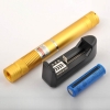 100mW 532nm feixe de luz Focando Laser Pointer Pen portátil com pulseira dourada LT-HJG0084