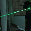 LT-303 300mW 532nm verde Fascio di luce Zoom Penna puntatore laser Oro
