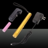 laser308 300mw Aluminium Alloy Changeable Light Laser Pointer with 18650 Battery & Charger Gold