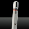 Penna puntatore laser a punto singolo da 405 nm 1mw Blue & Purple Laser Silver