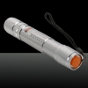 100mw Burning 532nm Adjustable Focus Green Laser Pointer Pen Silver