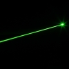 100mw queima 532nm foco ajustável caneta ponteiro laser verde prata