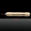 532nm 1mw Starry Padrão Green Light Laser Pointer Pen com cinco cabeças de ouro de luxo de ouro