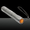 Motif 1mw 532nm Starry Green Light Pen pointeur laser avec Cinq Têtes Laser Argent