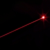 1mW 650nm Red Beam Light Tailcap Switch Laser Pointer Pen Black 850