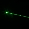 150mW Brennen 532nm grüne Lichtstrahl-Licht tailcap justierbare Fokus Wiederaufladbare geraden Laser-Zeiger-Feder-Silber-Schalte