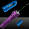 LT-501B 200mw 532nm Green Beam Light Dot Light Style Rechargeable Laser Pointer Pen with Charger Purple